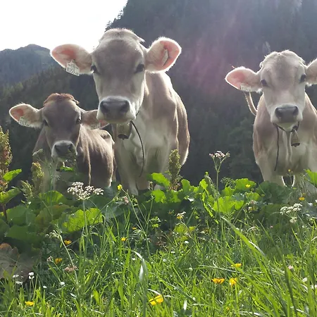 Haus Sonneneck Feriehus Fügen