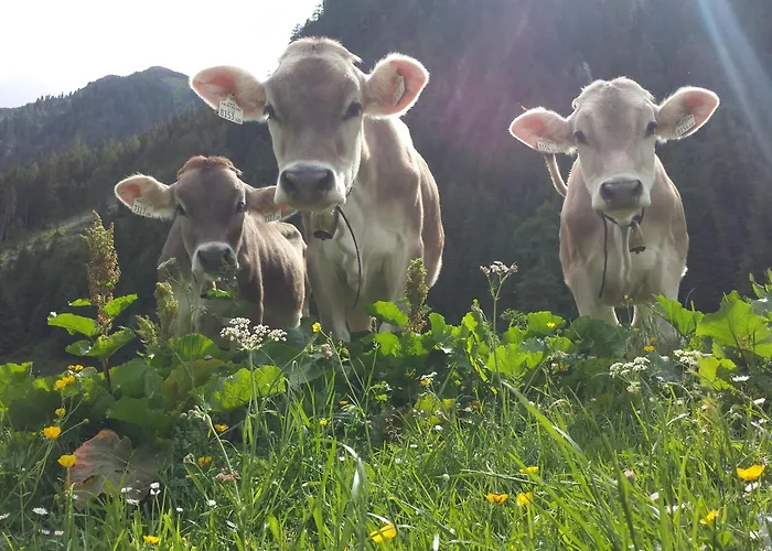 Haus Sonneneck Feriehus Fügen